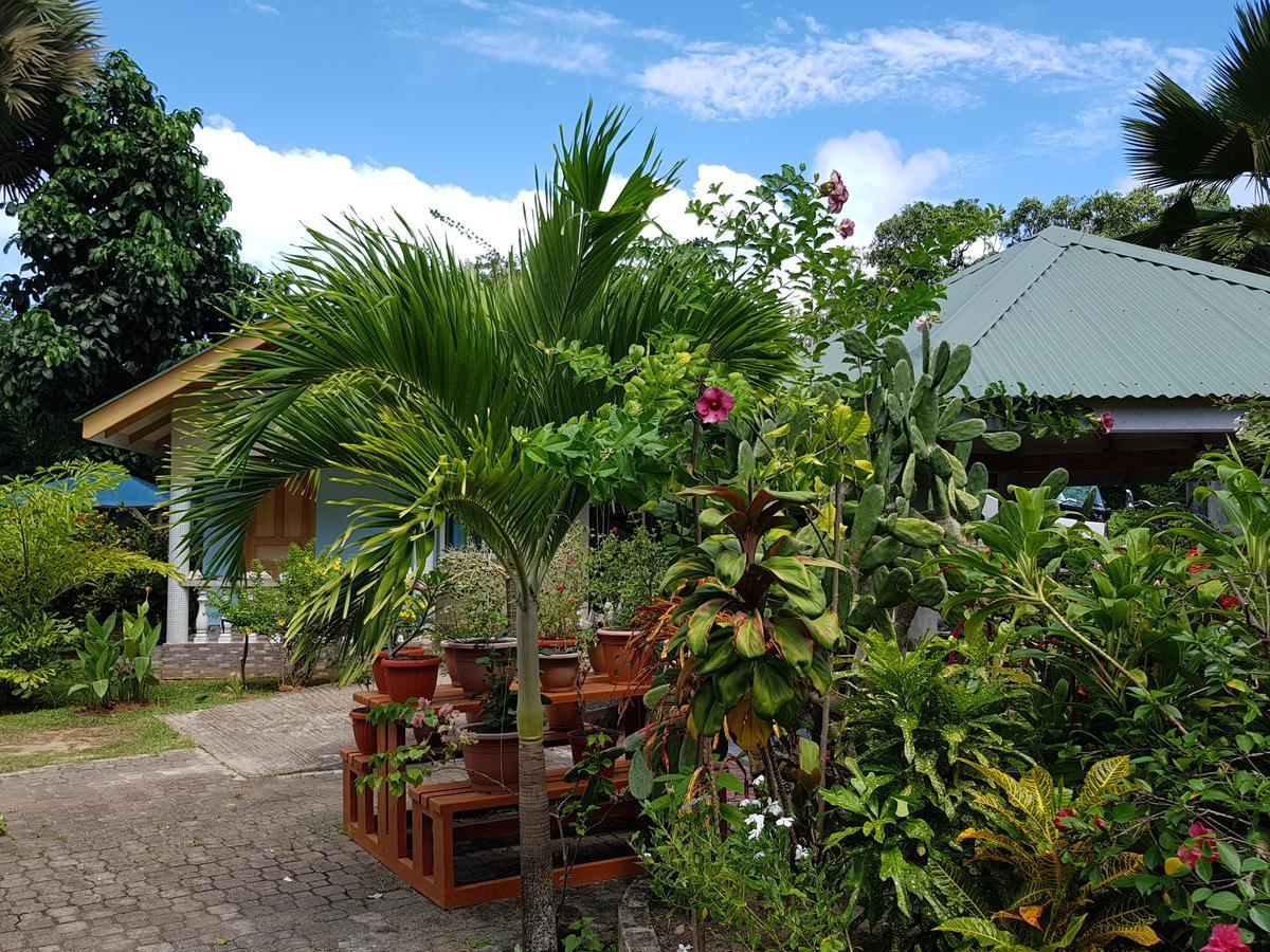 לה דיג Island Bungalow מראה חיצוני תמונה